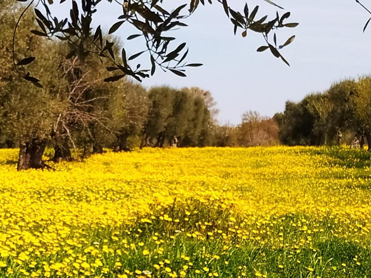 Masseria - Trulli Genius Loci Dimore Monopoli Zewnętrze zdjęcie