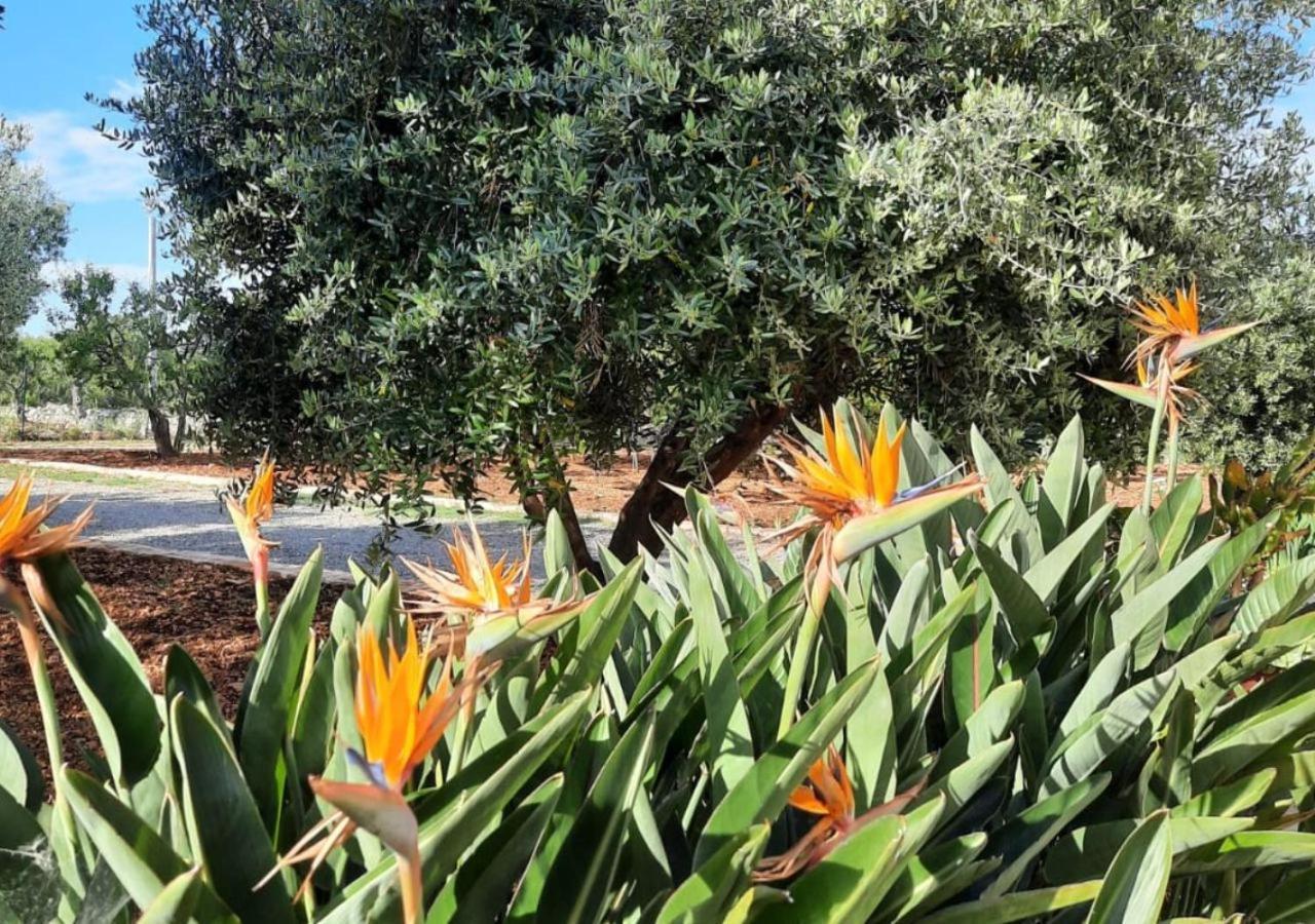 Masseria - Trulli Genius Loci Dimore Monopoli Zewnętrze zdjęcie